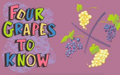 4个你必须了解的葡萄品种