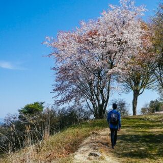 地下丝绒