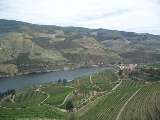 葡萄牙 Douro 游记