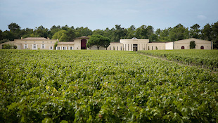 佩萨克-雷奥良 Pessac-Leognan