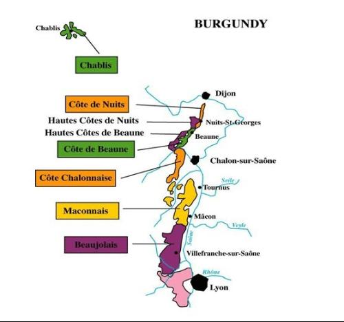 波尔多的57个法定产区