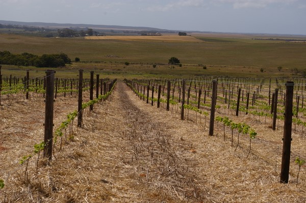 奥弗贝格 (Overberg)