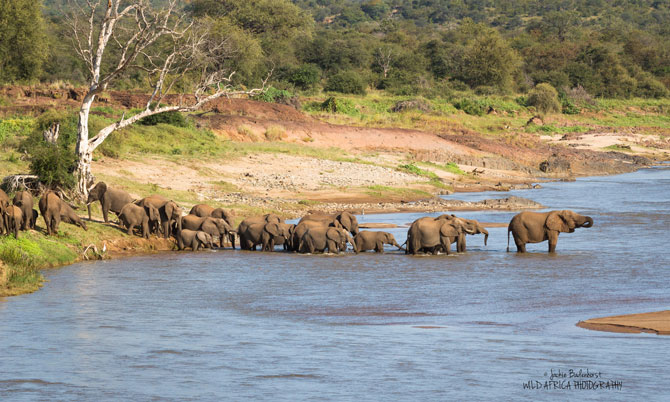 奥勒芬兹河 (OLIFANTS RIVER)