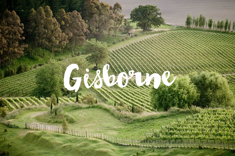 吉斯伯恩 Gisborne