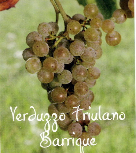 弗留利维多佐 Verduzzo Friulano