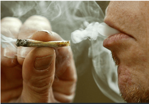 加拿大的大麻消费额已与葡萄酒持平  明年合法化后还了得？