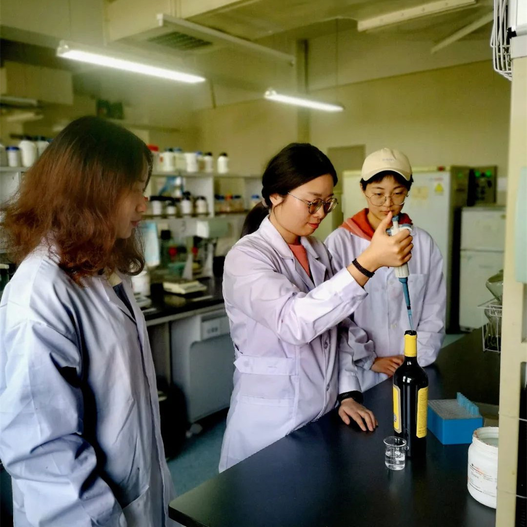西农葡萄酒学院创制国内首款玻尿酸葡萄酒