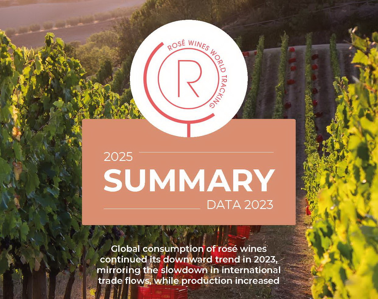 全球桃红葡萄酒市场概览：消费虽放缓但韧性凸显