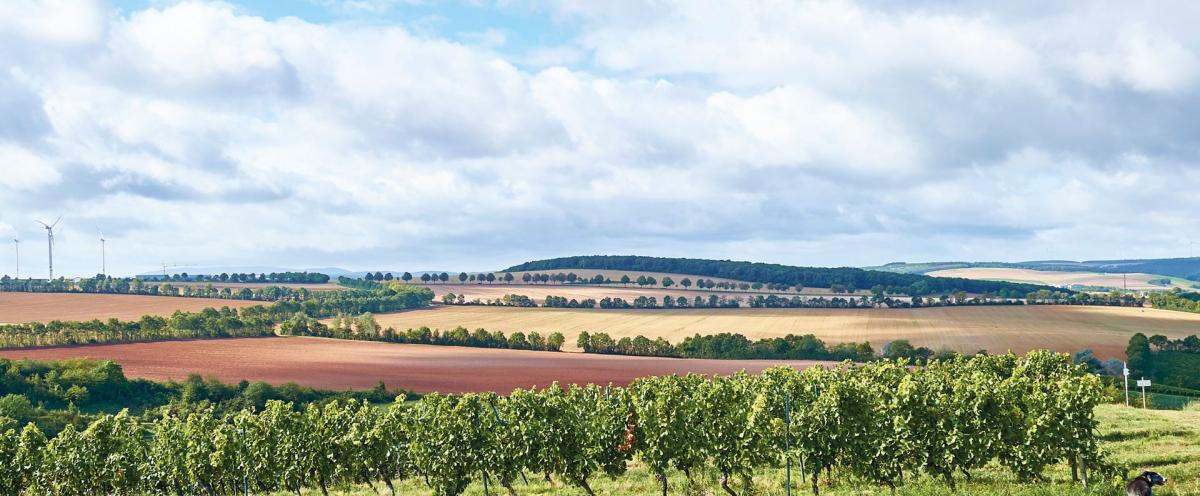 Weingut Weinkellerei Kessler-Zink金-凯斯勒酒庄