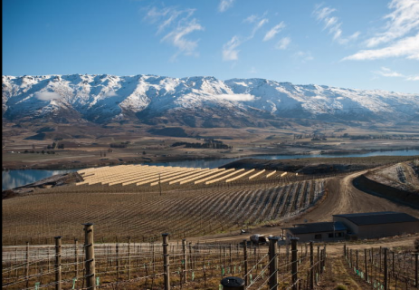 米莎酒庄Misha's Vineyard