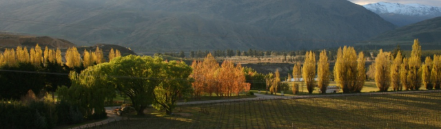 班诺克山坡酒庄Bannock Brae Estate