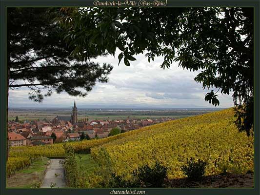 奥玛堡Chateau Haut-Marbuzet