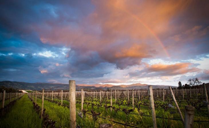 作品一号酒庄Opus One Winery