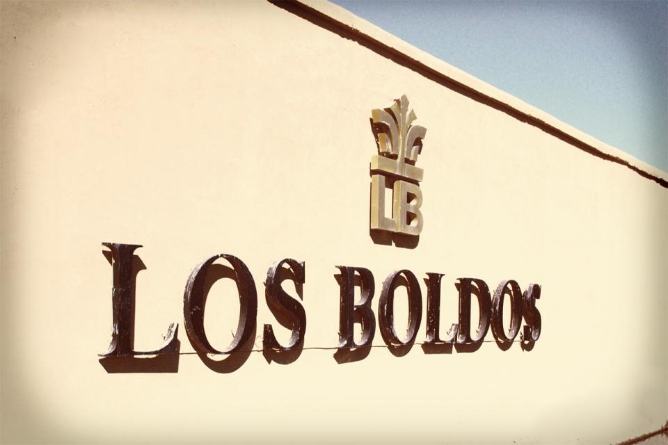 洛宝多庄园Chateau Los Boldos