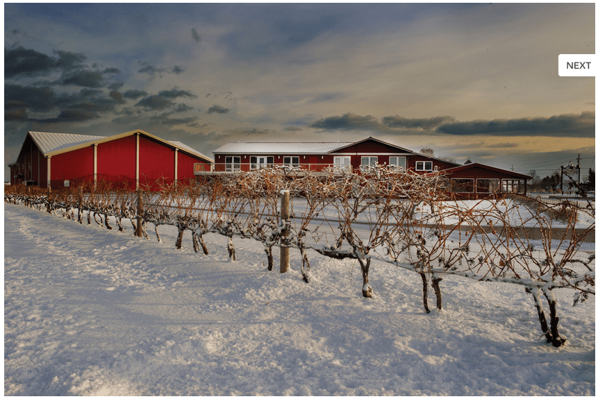 派利特瑞酒庄Pillitteri Estates Winery