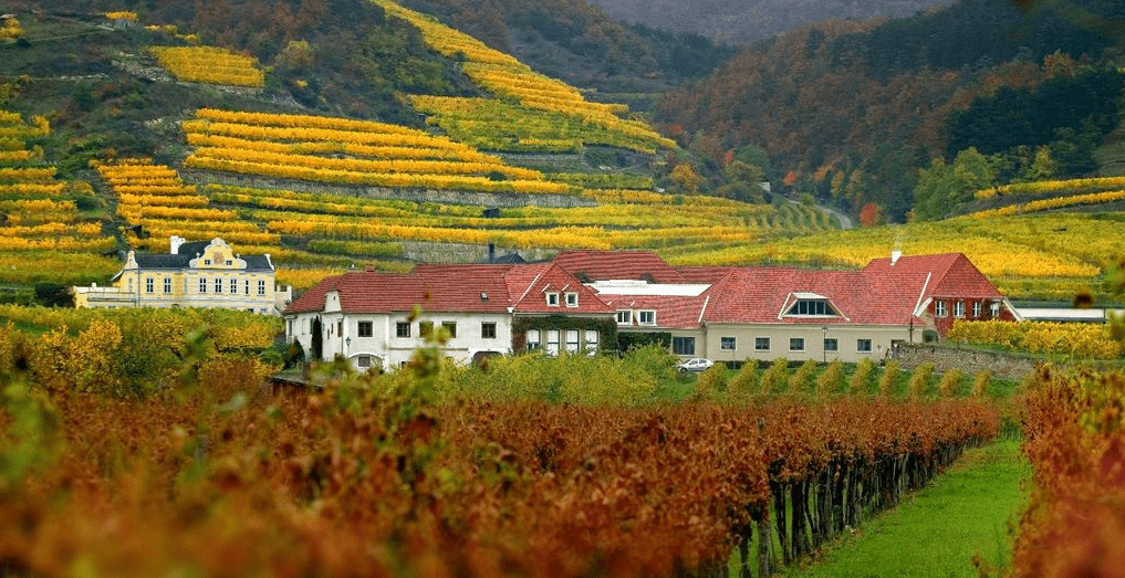 瓦赫奥酒庄Domane Wachau