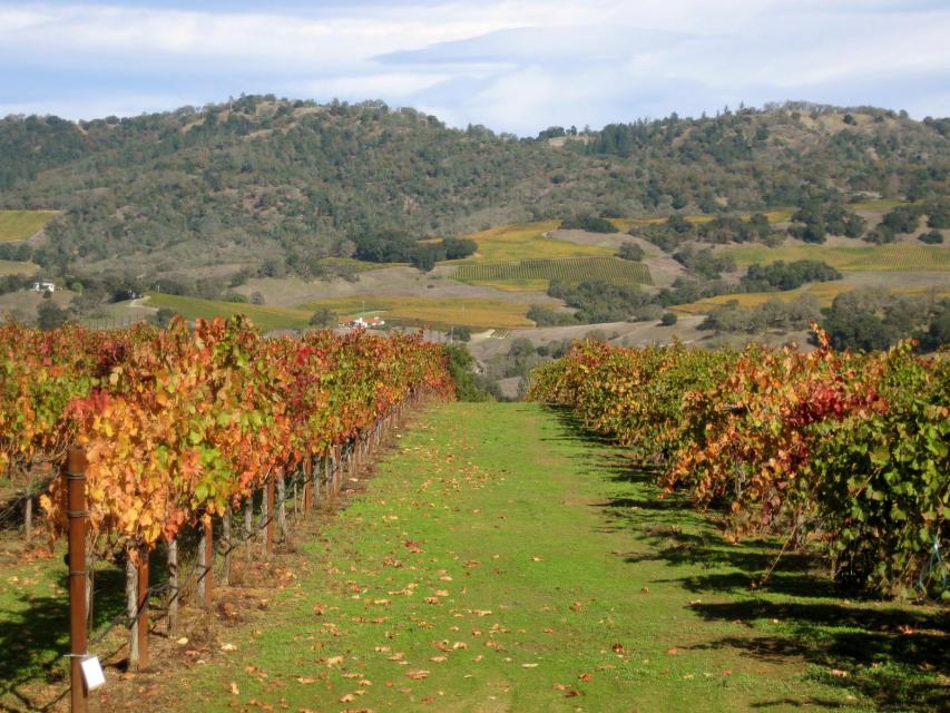 盖世峰酒庄Geyser Peak Winery