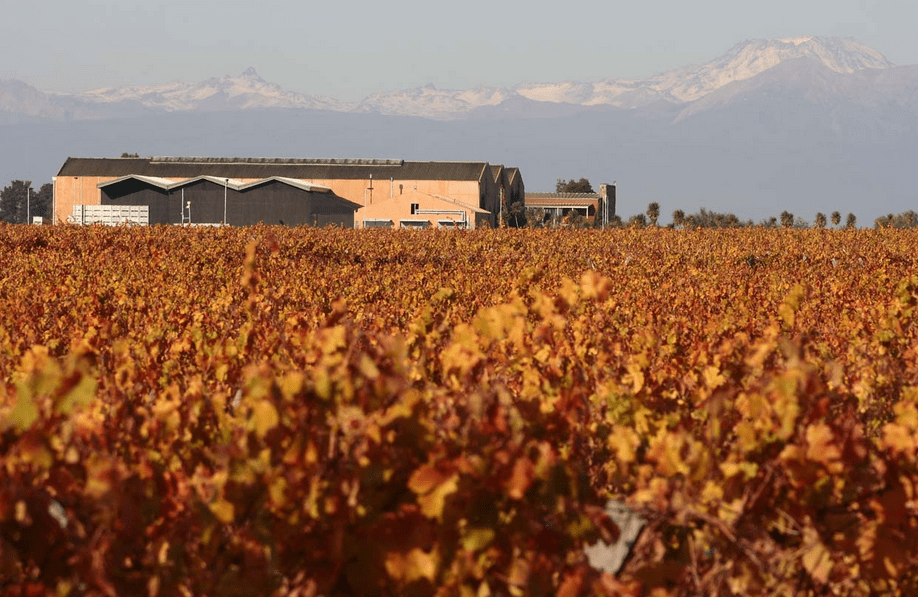 卡利纳酒庄Calina Winery