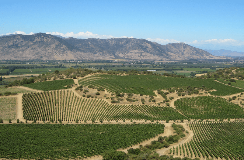 云顶山酒庄Ninquen Winery