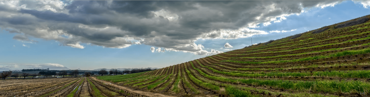 炮鸣之地酒庄Kanonkop Winery