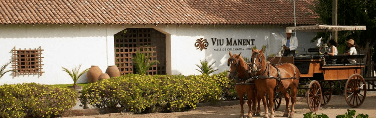 威玛酒庄Viu Manent Winery