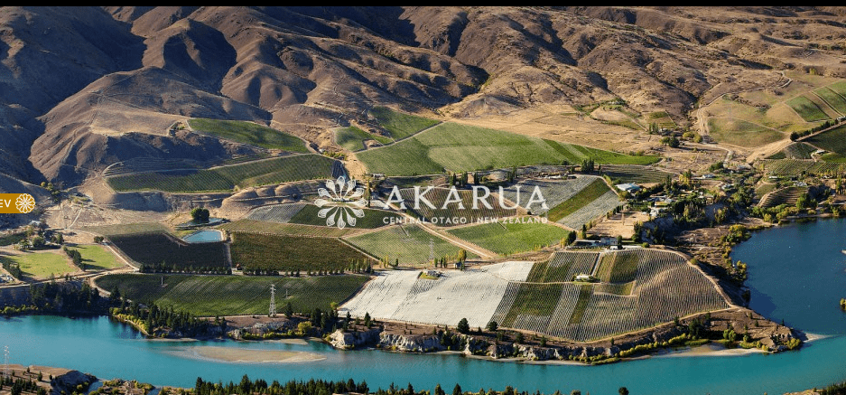 双藤花酒庄Akarua Winery