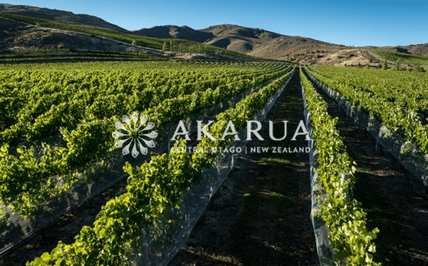 双藤花酒庄Akarua Winery