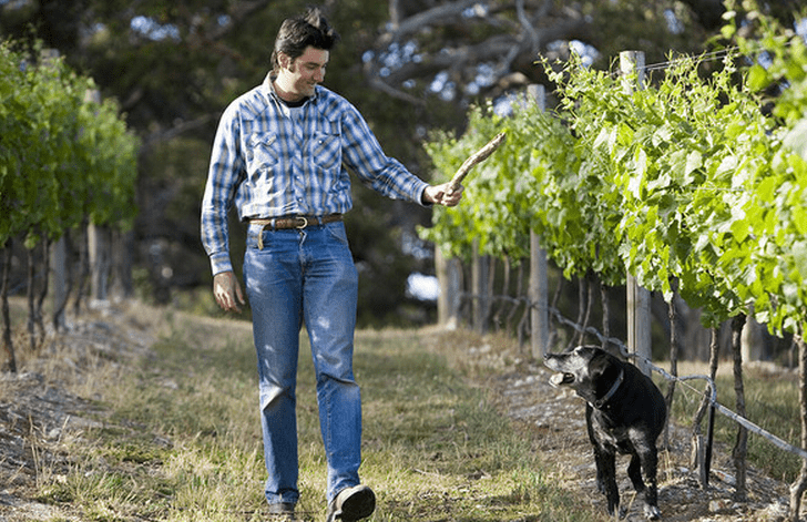 宾迪酒庄Bindi Wine Growers