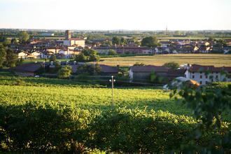 巴斯蒂安尼奇酒庄Bastianich