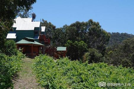 华乐满酒庄Warrenmang Vineyard