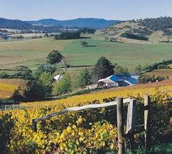 菲瑟涅酒庄Freycinet Vineyard