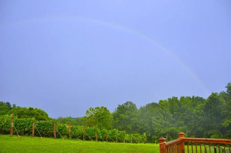 钱伯斯酒庄Chambers Rosewood Winery