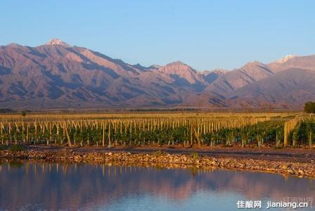 嘎贡酒庄Bodegas Escorihuela Gascon