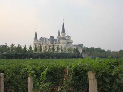 13路酒庄Road 13 Vineyards