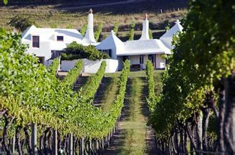 沙漠山丘酒庄Desert Hills Estate Winery