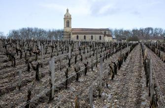 朗酒庄Lang Vineyards