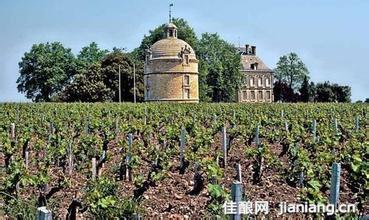 上肯特鲁酒庄Chateau Haut-Canteloup