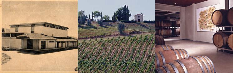 里奥纳多酒庄Leonardo da Vinci Winery