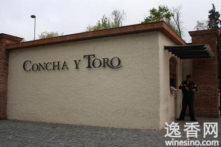 干露酒庄Concha y Toro