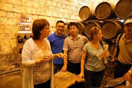 路易沙夫酒庄Domaine Jean Louis Chave