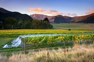 怀帕拉山丘酒庄Waipara Hills