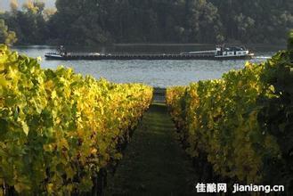 弯河酒庄Crooked River Wines