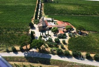 卡利绿酒庄Carlei Estate & Green Vineyards