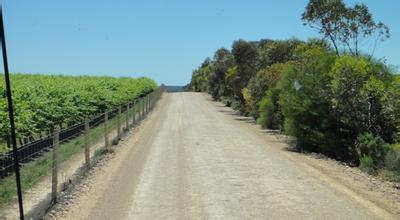 孔雀园酒庄Pheasant Ridge Winery