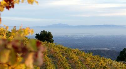 默里迪恩酒庄Meridian Vineyards