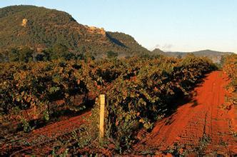 伊甸山酒庄Mount Eden Vineyards