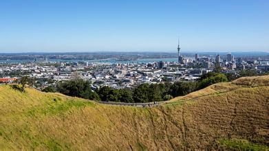 伊甸山酒庄Mount Eden Vineyards