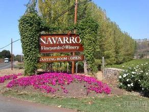 纳瓦罗酒庄Navarro Vineyards