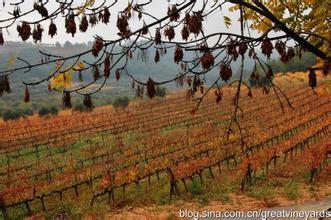 普瑞特酒庄Portal del Priorat