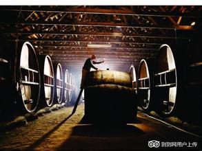 彼特万酒庄Pieter van Gent Winery and Vineyard